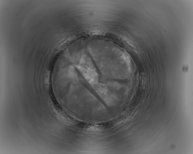 X0000095110550200712301739