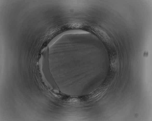 X0000095110551200712301739