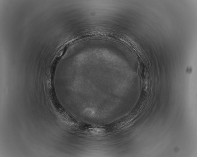 X0000095110552200712301739