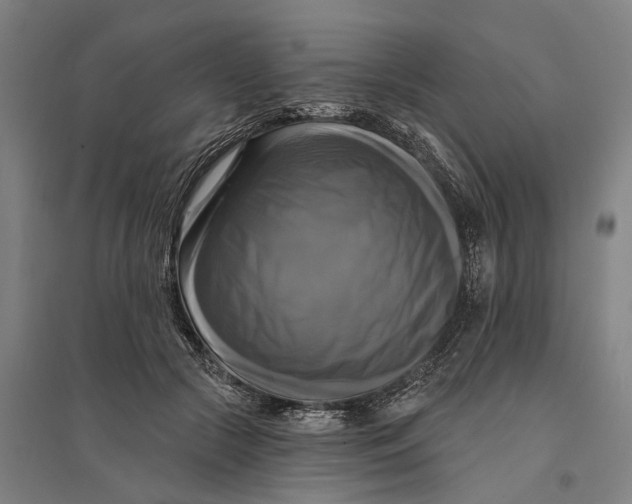 X0000095110553200712301739