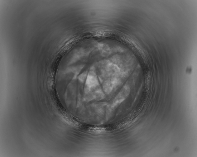 X0000095110554200712301739