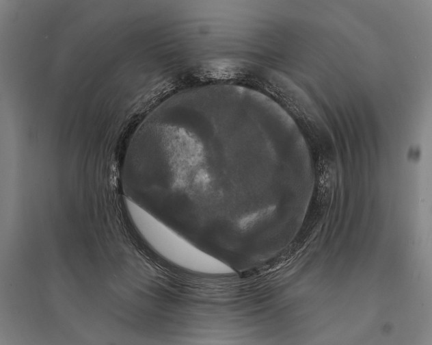 X0000095110555200712301739