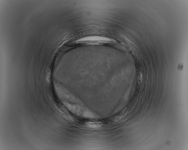 X0000095110556200712301739