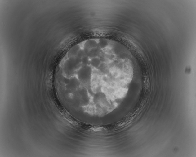 X0000095110557200712301739