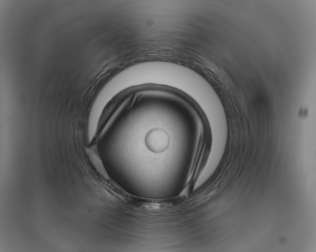 X0000095110558200712301739