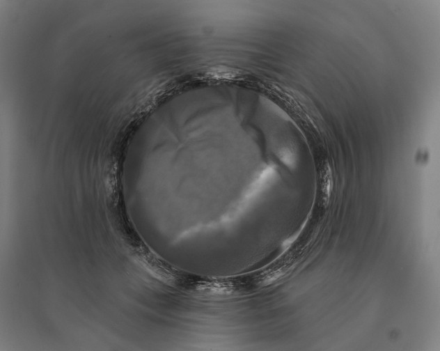 X0000095110559200712301739