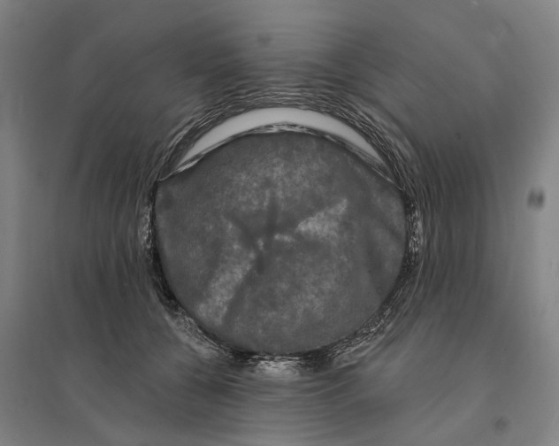 X0000095110560200712301739