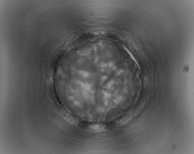 X0000095110561200712301739