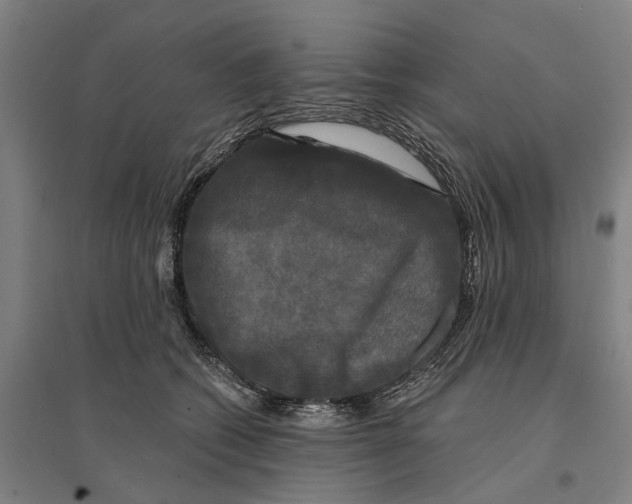 X0000095110562200712301739