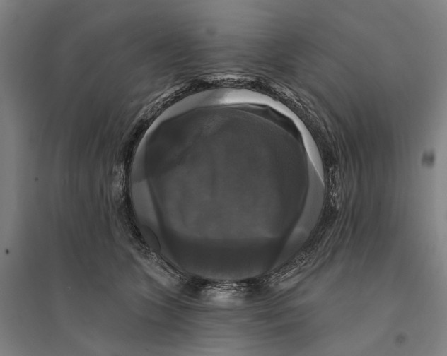 X0000095110563200712301739