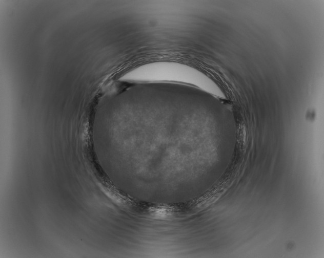 X0000095110564200712301739