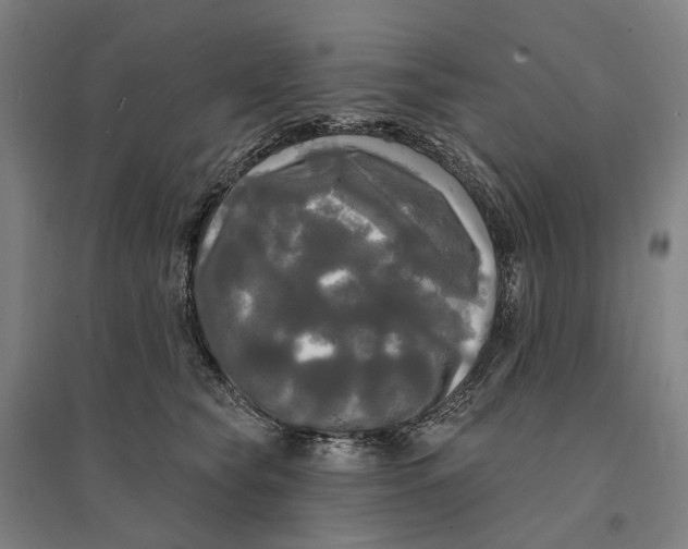 X0000095110565200712301739