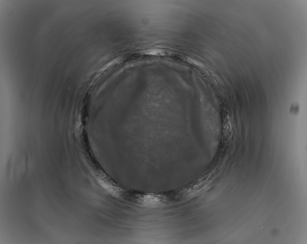 X0000095110566200712301739