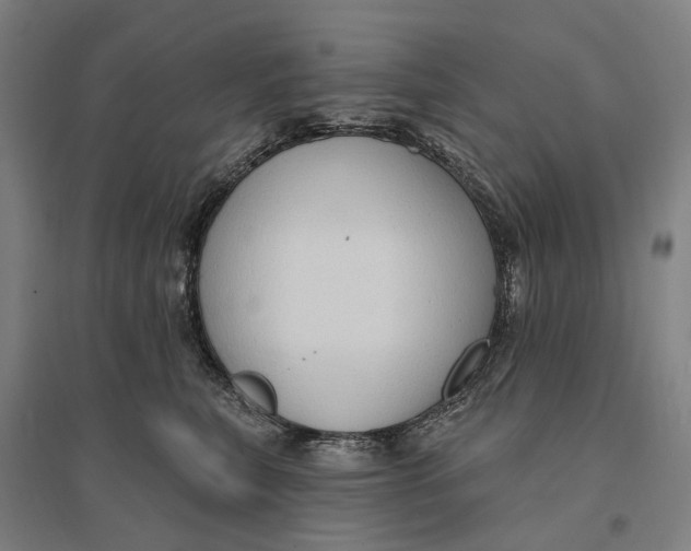 X0000095110567200712301739