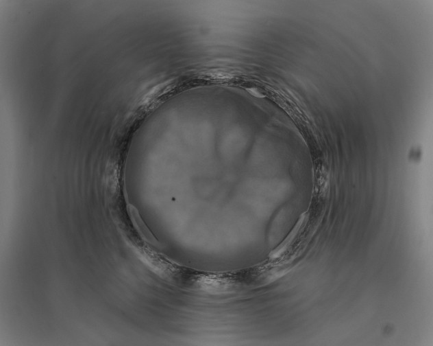 X0000095110568200712301739