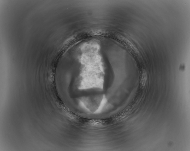 X0000095110569200712301739