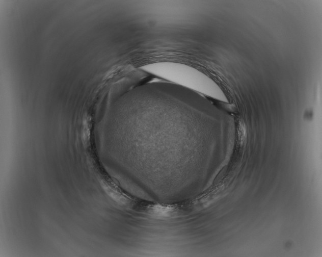 X0000095110570200712301739