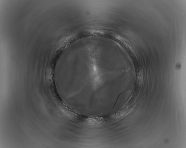 X0000095110571200712301739