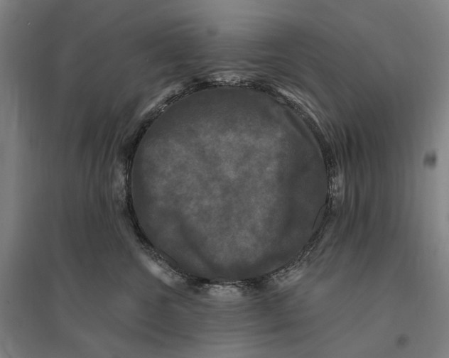 X0000095110572200712301739