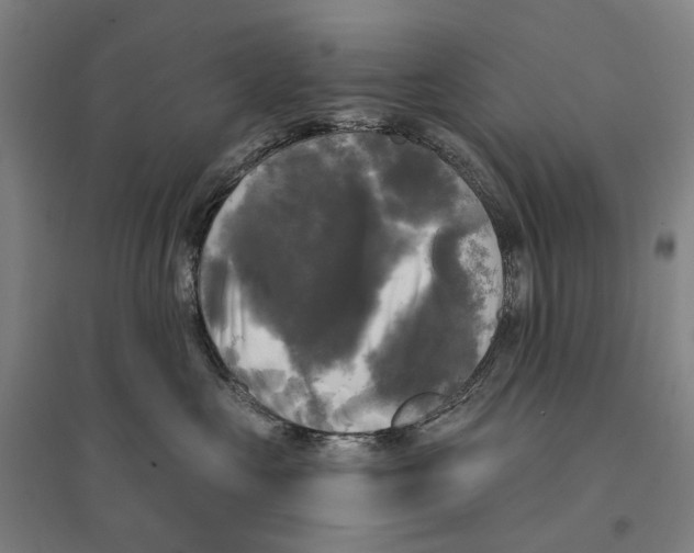 X0000095110573200712301739