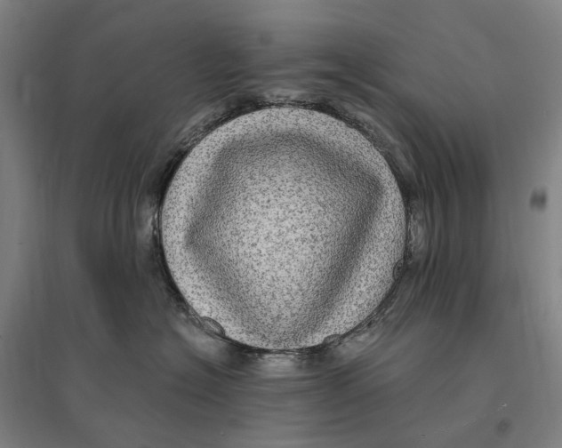 X0000095110574200712301739