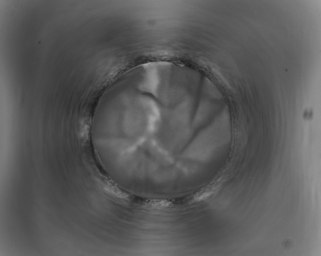 X0000095110576200712301739