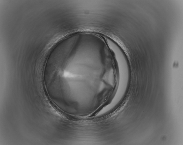 X0000095110577200712301739