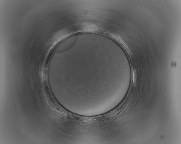 X0000095110579200712301739