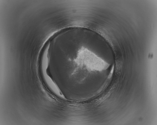 X0000095110580200712301739