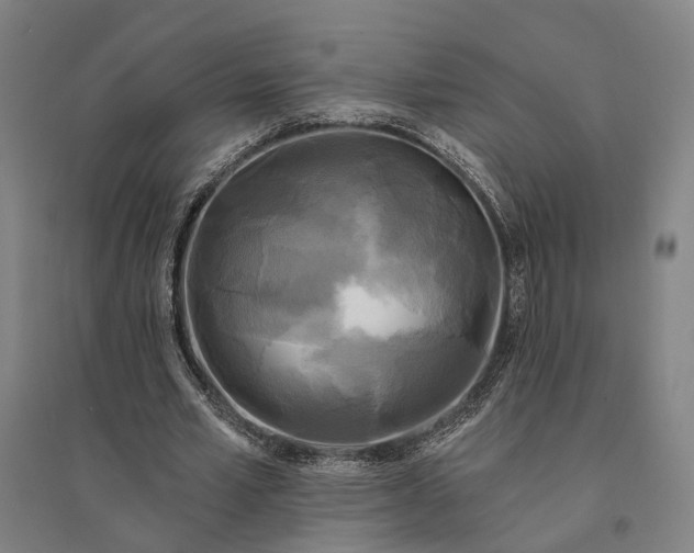 X0000095110581200712301739