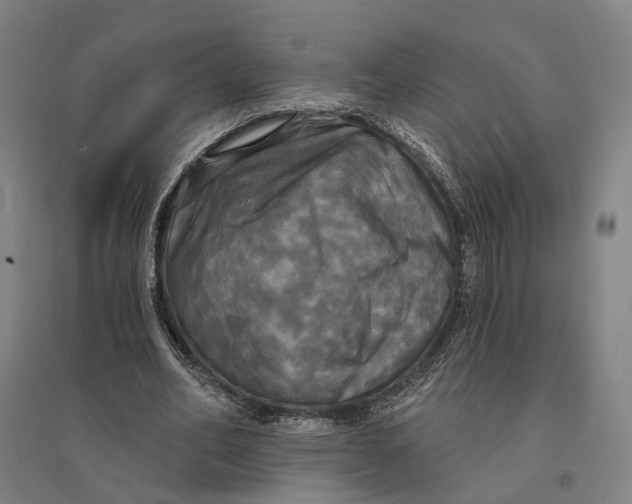 X0000095110582200712301739