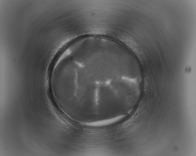 X0000095110584200712301738