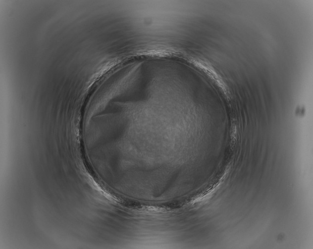 X0000095110585200712301738