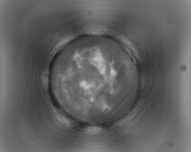 X0000095110586200712301738