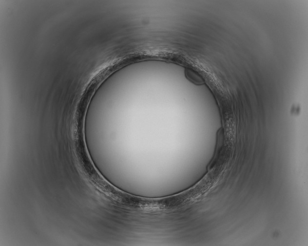 X0000095110587200712301738