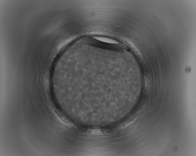 X0000095110588200712301738