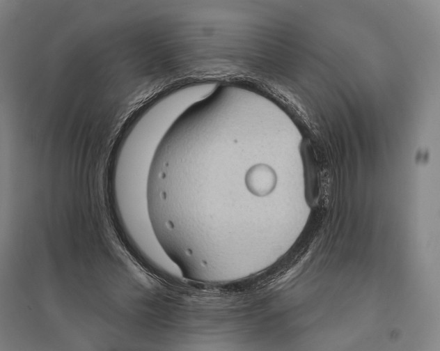 X0000095110589200712301738