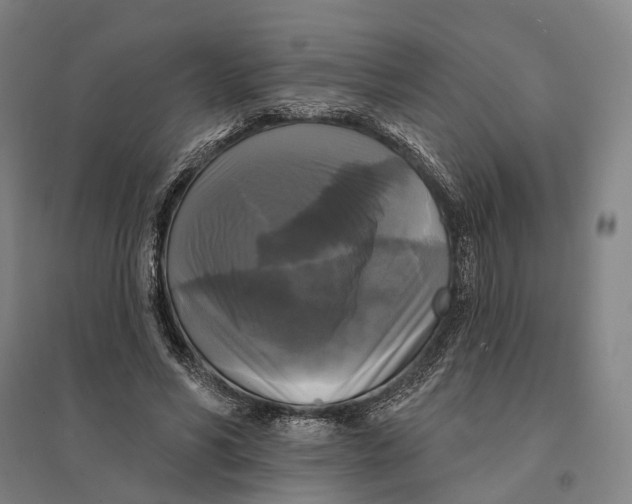 X0000095110590200712301738