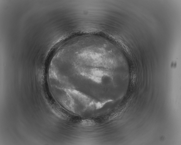 X0000095110591200712301738