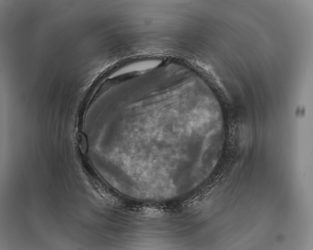 X0000095110592200712301738