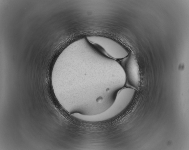 X0000095110593200712301738