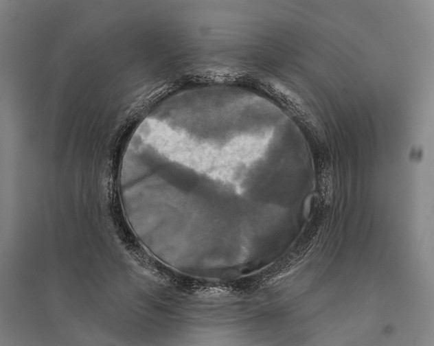 X0000095110594200712301738