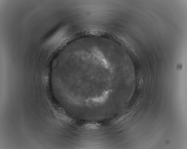 X0000095110595200712301738