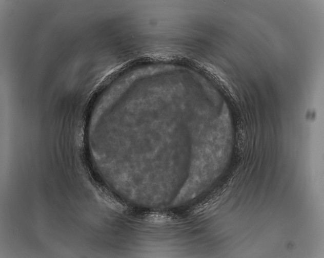 X0000095110596200712301738