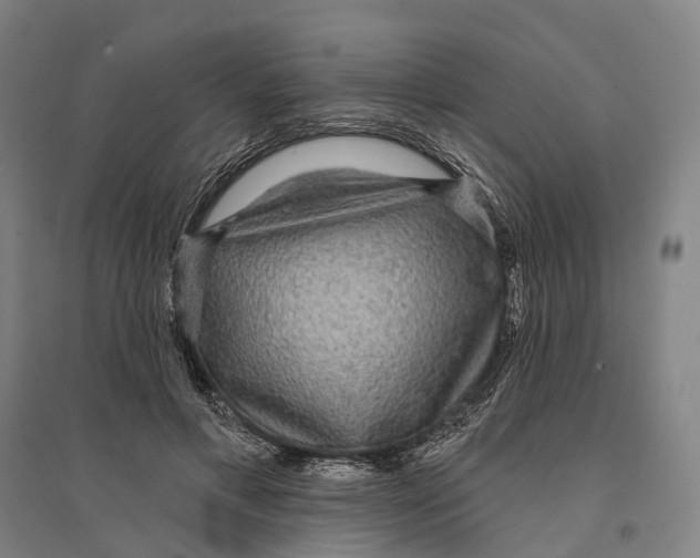 X0000095110597200712301738