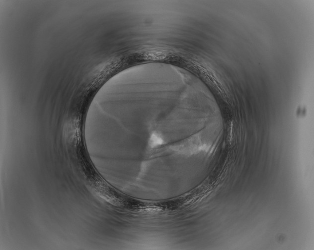 X0000095110598200712301738