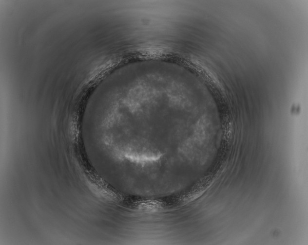 X0000095110599200712301738