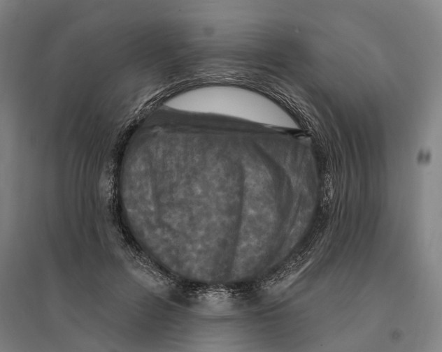 X0000095110600200712301738