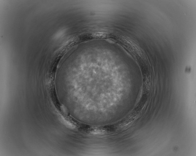 X0000095110601200712301738