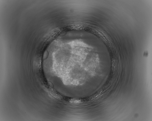 X0000095110602200712301738